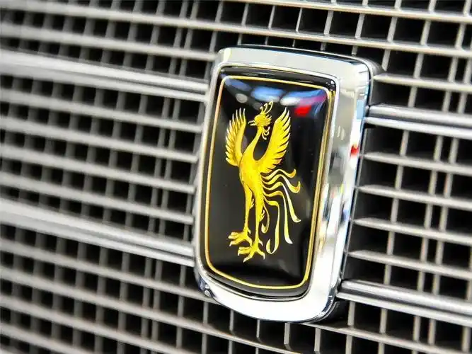 同时中央配备丰田世纪的专属logo——金凤凰,据悉,每个金凤凰都由工匠