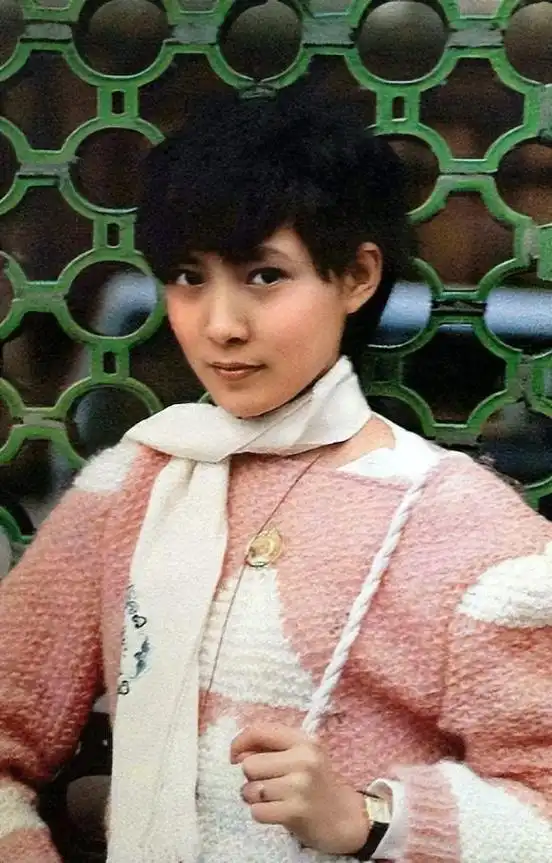 沈丹萍:与张铁林分手后,为嫁老外与家人决裂,如今婚姻状况如何