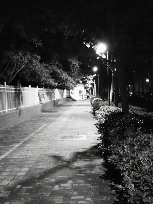 夜晚的街边谁在为谁等待黑白夜景随手街拍