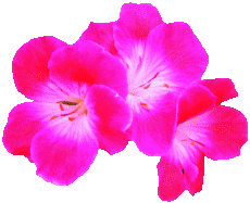 230_187gif 动态图 动图