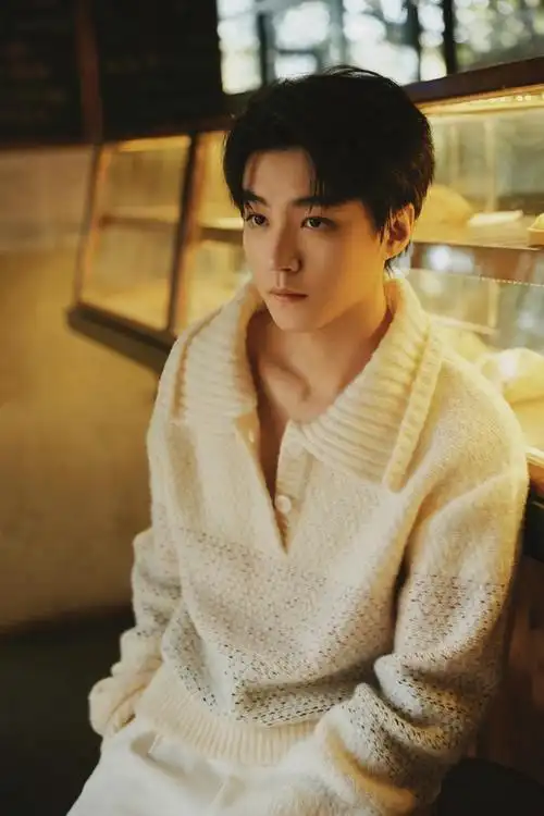 王俊凯冬日纯白look##王俊凯翻领毛衣