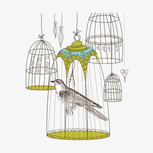 关键词 : 手绘,鸟笼,笼子,鸟,羽毛