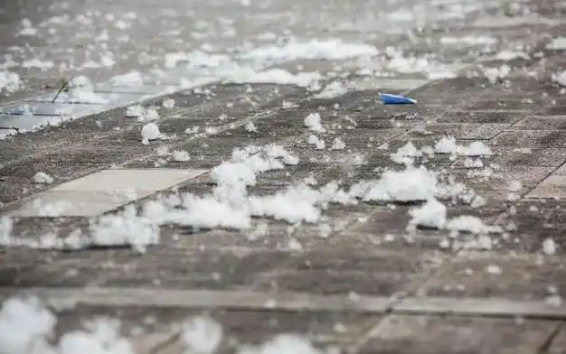 北京杨柳絮进入"飞舞期",过敏,哮喘人群需知道这些事——|过敏原|呼吸