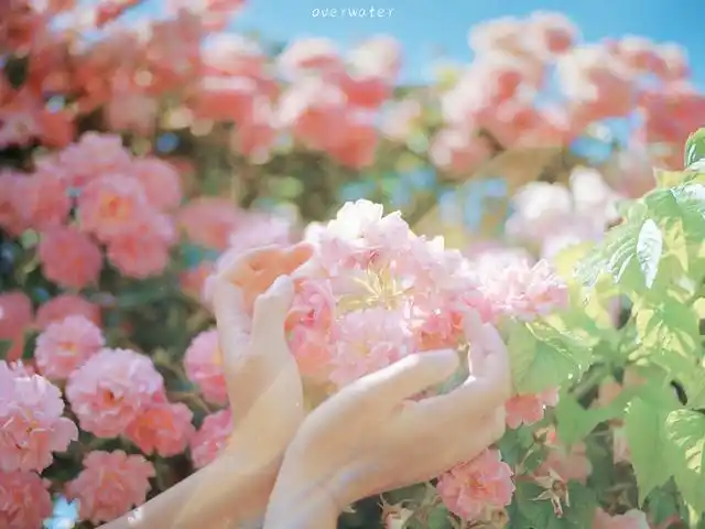 抖音发风景很火的短句,治愈系风景文案句子