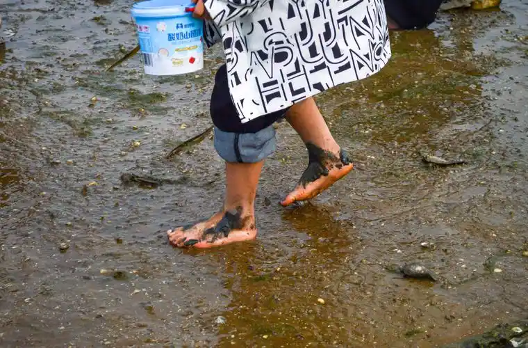 光着脚丫在海边拾贝或许是每个孩子的梦想