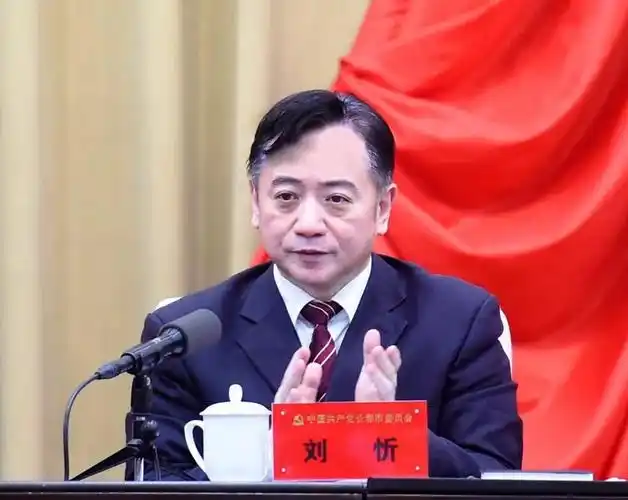 市委副书记,市长刘忻就《决定(讨论稿)》作说明.