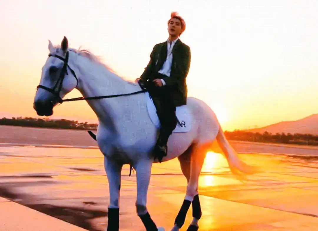 吴世勋骑白马的样子真的像极了白马王子,爱了爱了