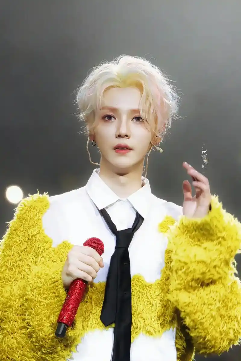 归来仍是顶流.#鹿晗舞台照 #从漫画里走出来的男孩 #银发 - 抖音