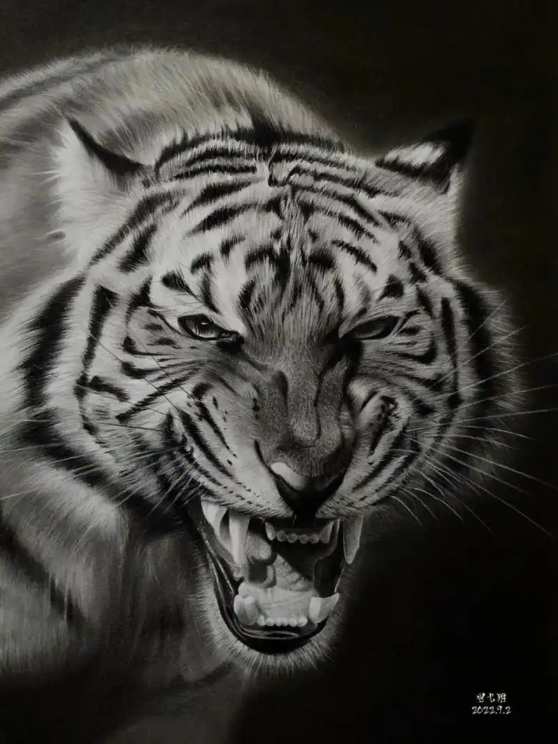 【素描动物】虎年画虎–威武霸气的老虎91 老虎是森林百兽之王,象征