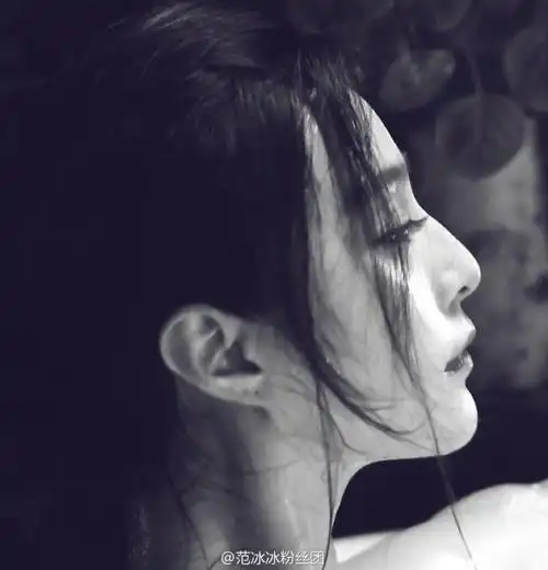 侧颜范冰冰