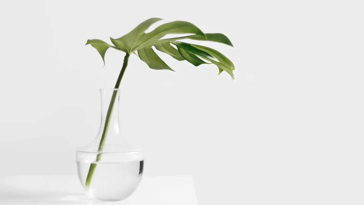 文艺清新的花瓶静物写真高清宽屏壁纸