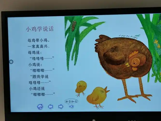 我们学习了新的小儿歌《小鸡学说话》