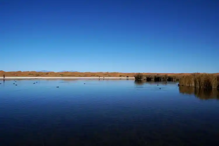 「像天一样浩渺无际」腾格里沙漠中的天然湖泊 - 月亮湖