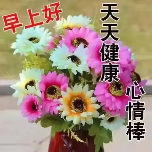 早上好祝福图片动态表情图片暖心早安问候动画表情包