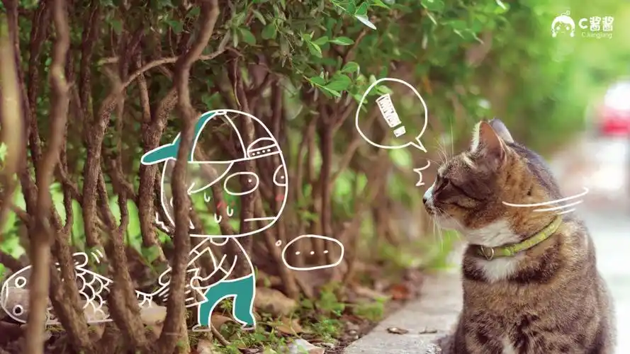 恶搞喵星人猫咪壁纸1524