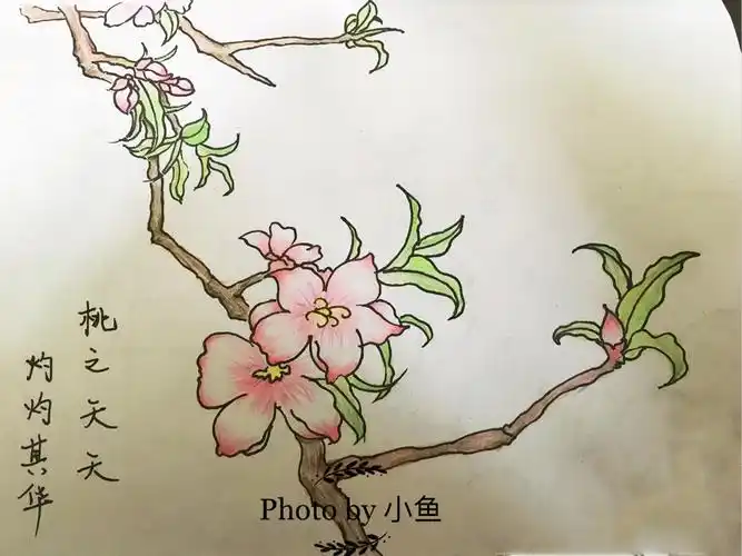 桃夭桃花儿童画
