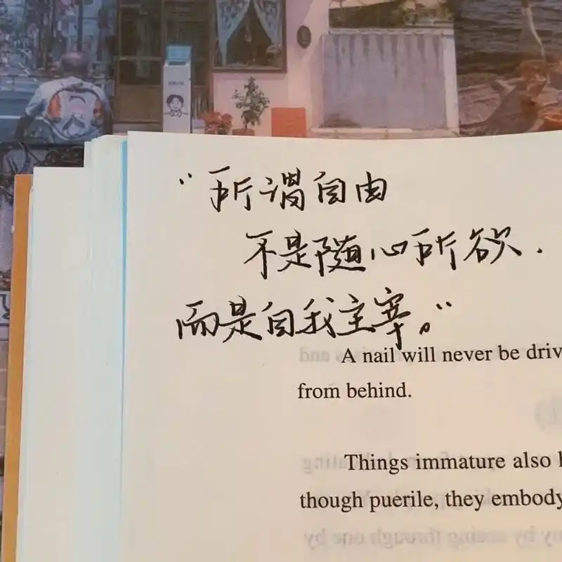 一些能让你释怀的小众文案,积极向上,温柔走心!