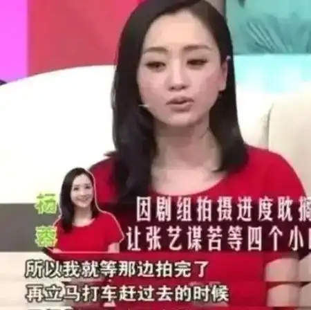 杨蓉,可惜了