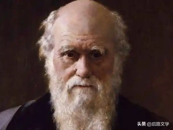 积极乐观的名人名言(积极乐观的心态的句子)-美文社