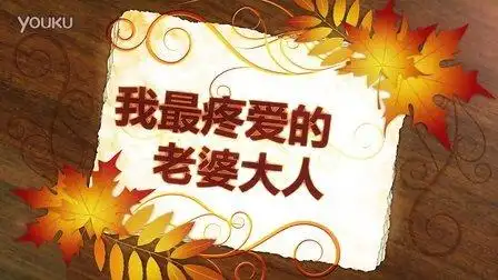 送给我的老婆老婆我爱你