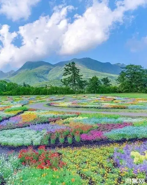 盘点15个超美的日式花园,领略不同的园林风景!