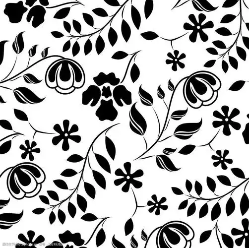 矢量黑白花纹背景底纹