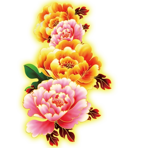 50张牡丹花抠图素材