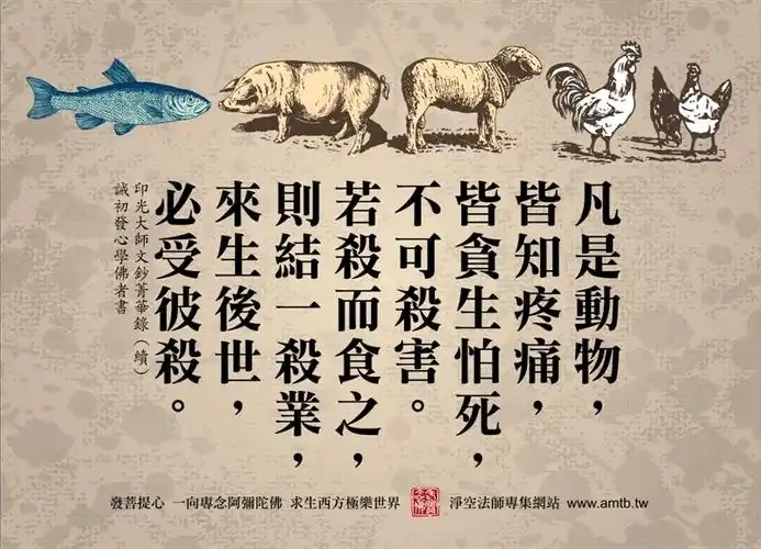 结婚喜宴勿杀生_佛学入门