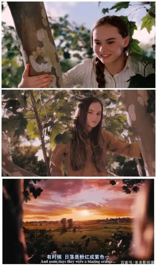 《怦然心动》,爱恋是一棵梧桐树,一棵会开花的树