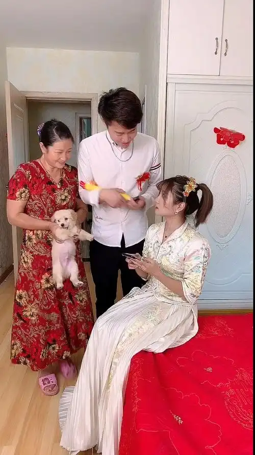 我要上热门#结婚第一天,婆婆和老公就抱个狗狗在我面前晃是什么意思?