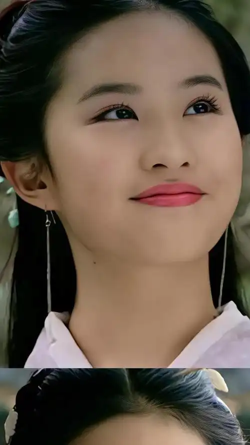 仙剑奇侠传一神仙姐姐刘亦菲