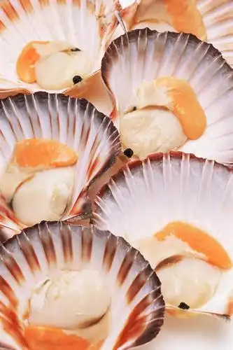 室内,特写,白天,桌面,桌子,一排,许多,整齐,并列,并排,木制,很多,扇贝