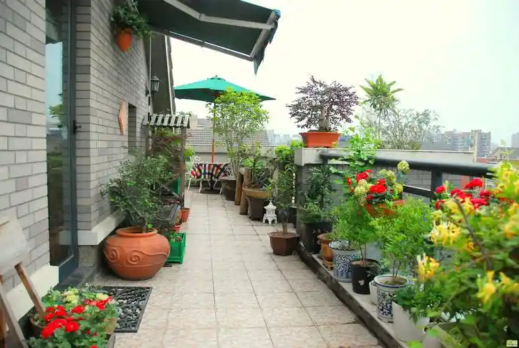 只需三步轻松改造一个屋顶花园,动动手你的屋顶小花园就成啦