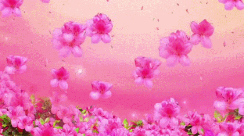 【gif-动图】— 用抠抠视频秀生成的gif动画(素材) - 夕阳无限美