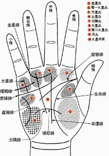 p>算命婚姻又称八字婚姻或是婚姻算命,在旧时 a href="#" data-lemma
