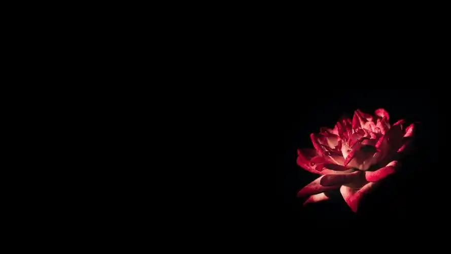 黑色系壁纸屏保1 - 知乎