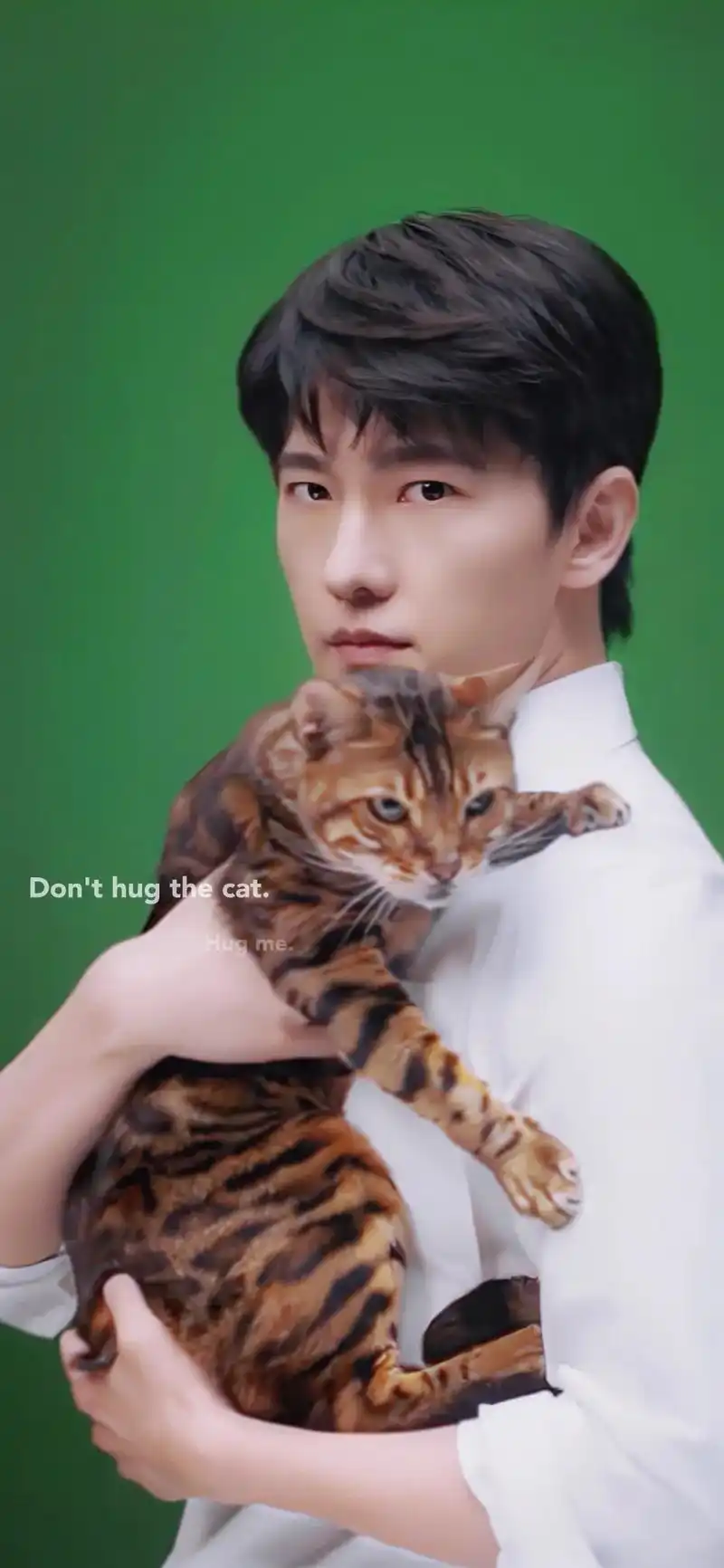 杨洋高清壁纸| 38期.@杨洋 别抱猫猫啦,抱我!0617 - 抖音