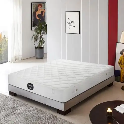 【晚安床垫】高档针织阻燃面料 邦尼尔弹簧 高回弹海绵舒适床垫 22cm