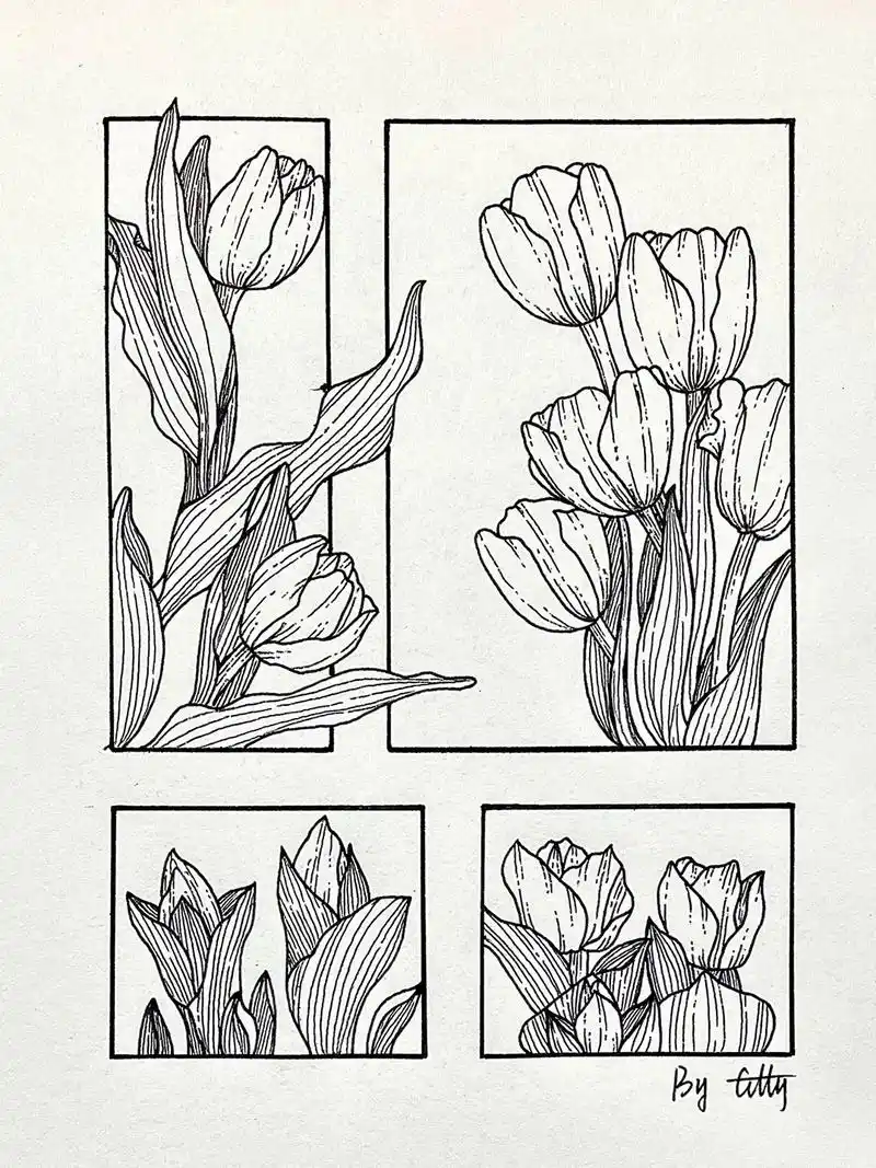 黑白简笔画93(35)|郁金香 #画画 #简笔画 #黑白画  - 抖音