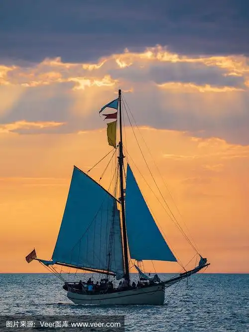 德国瓦尔纳明德的波罗的海上的一艘帆船和一只海鸥