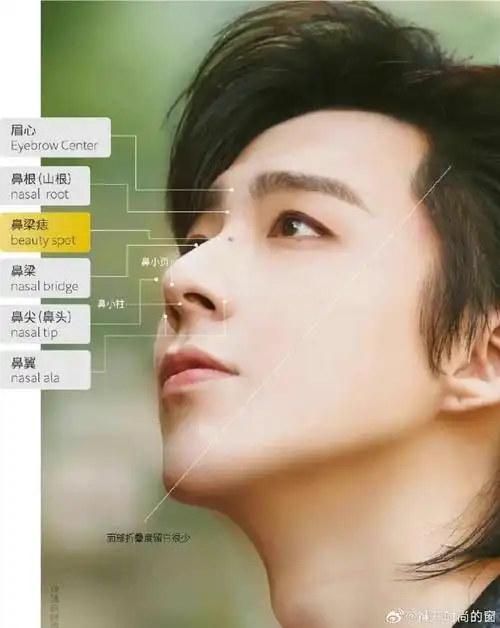 刘宇宁的帅是客观的,有根据的.脸型恰到好处堪比整容模板.