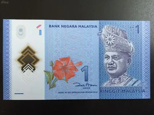 展开全部 马来西亚 1令吉