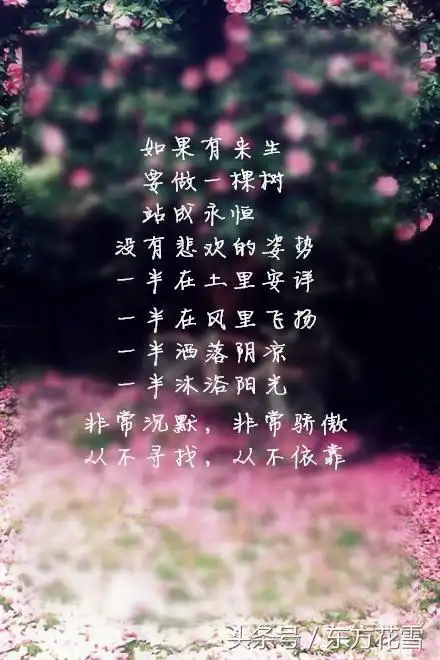 如果有来生我依然会等你