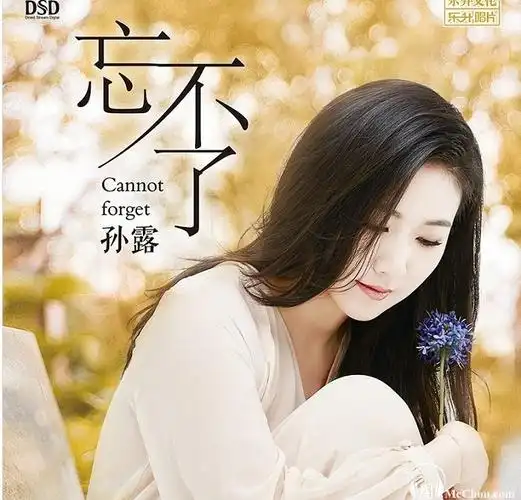 孙露音乐合集经典老歌52专辑cdmp3wav百度云下载