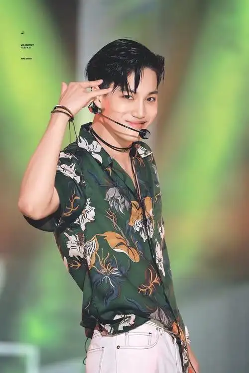 或许大家知道exo kai直拍三大将指的是哪三支直拍吗?