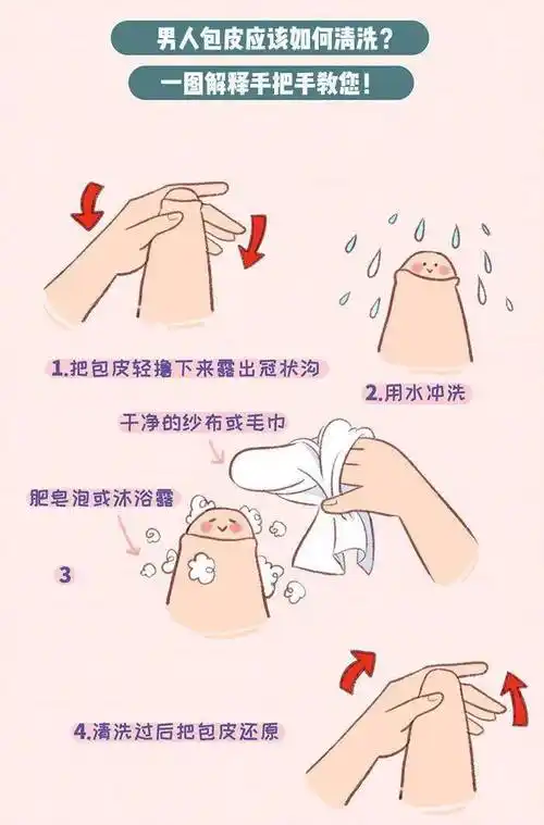 包皮_龟头_男性