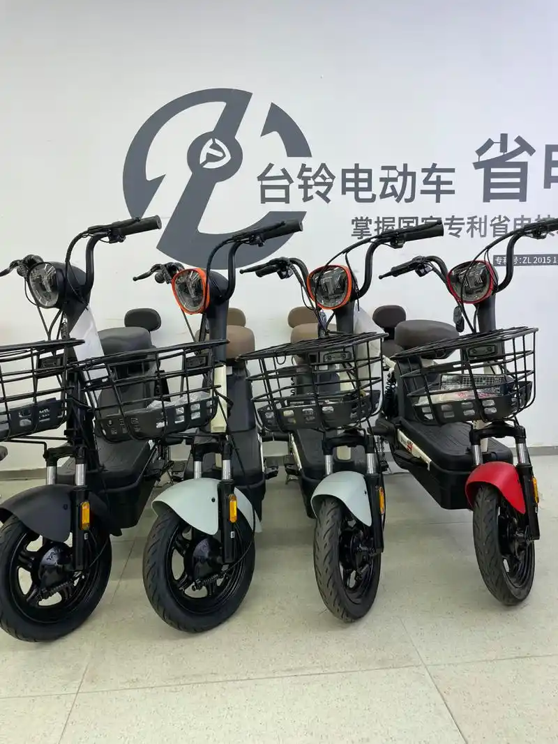 小车身大容量 深圳台铃 小时光 小车身大容量 配备48v20a铅酸电池