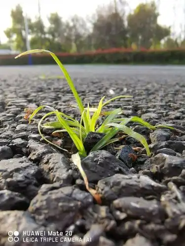 在武汉,你会发现很多美