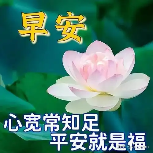早上空气清新,叫你事事顺心;上午阳光明媚,祝你薪水翻倍;下午小风娇好