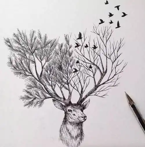 只有黑白/(画一些规矩的图案可能需要尺子)针管